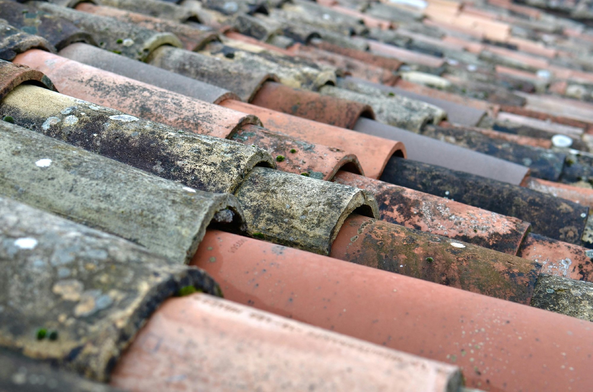 Dirty roof tiles damaged by pigeon guano